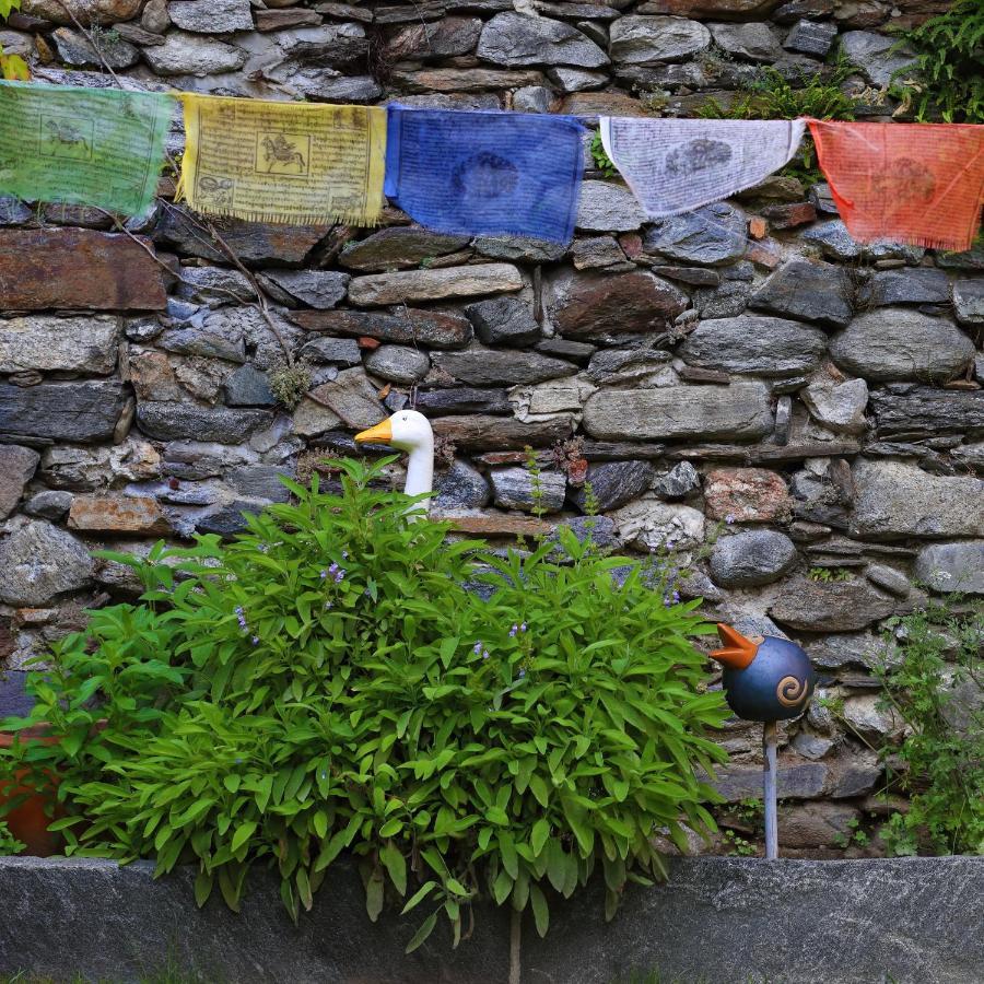 B&Borgo Ascona Exterior foto